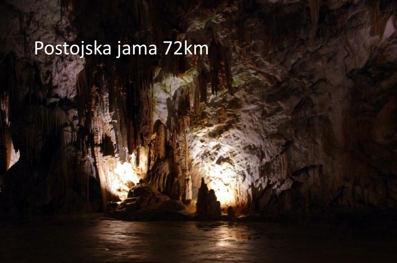 Yellow Submarine Луція Екстер'єр фото